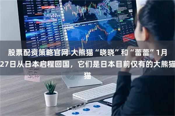 股票配资策略官网 大熊猫“晓晓”和“蕾蕾”1月27日从日本启程回国，它们是日本目前仅有的大熊猫