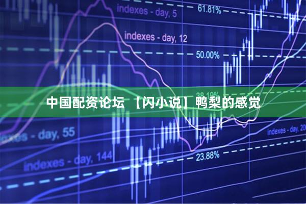 中国配资论坛 【闪小说】鸭梨的感觉